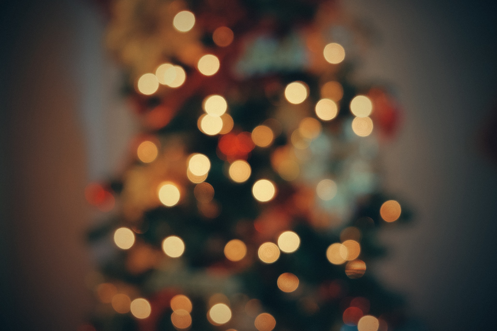 Znajdź sobie oryginalne drzewko świąteczne